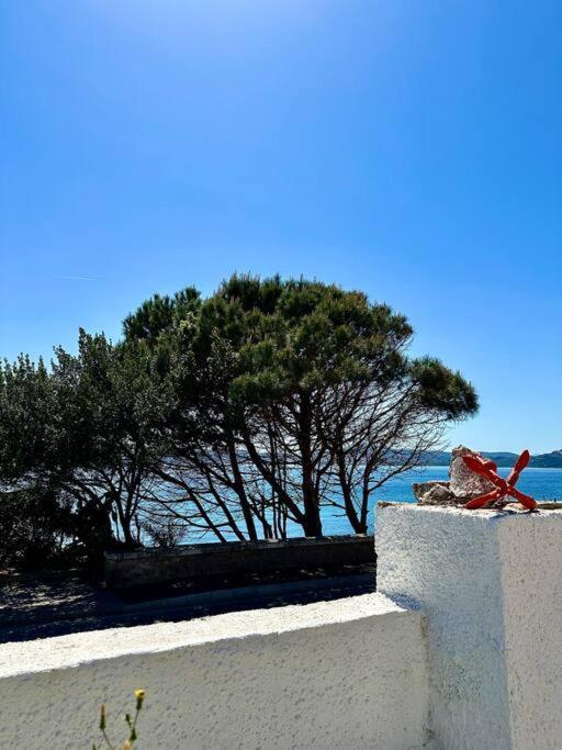 Villetta La Conchiglia La Maddalena  Extérieur photo