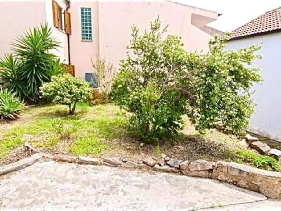 Villetta La Conchiglia La Maddalena  Extérieur photo